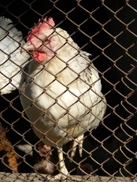 打个样子？曼城青年队4-0大胜皇马青年队